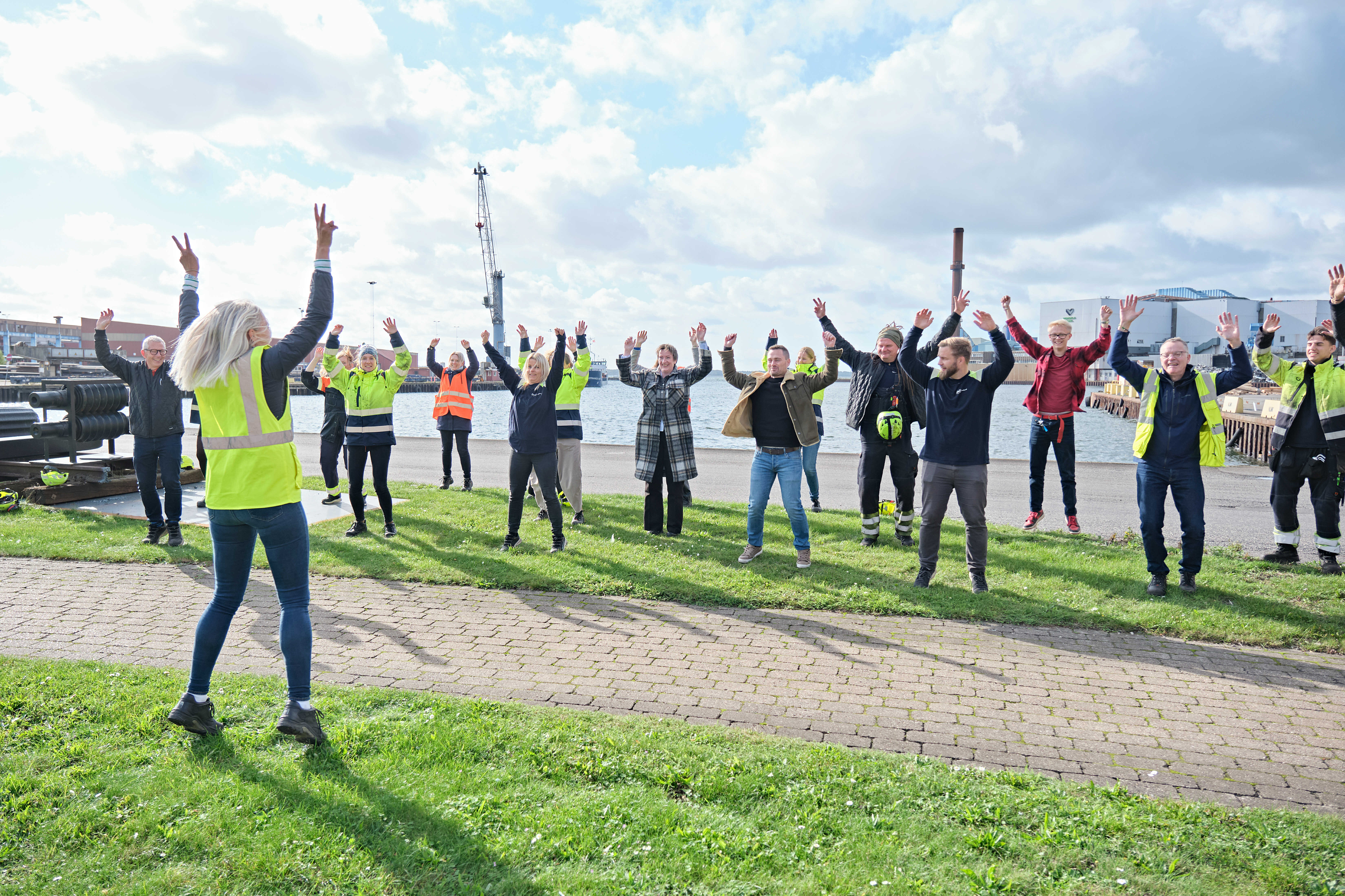 Dansteel Ude Optimized